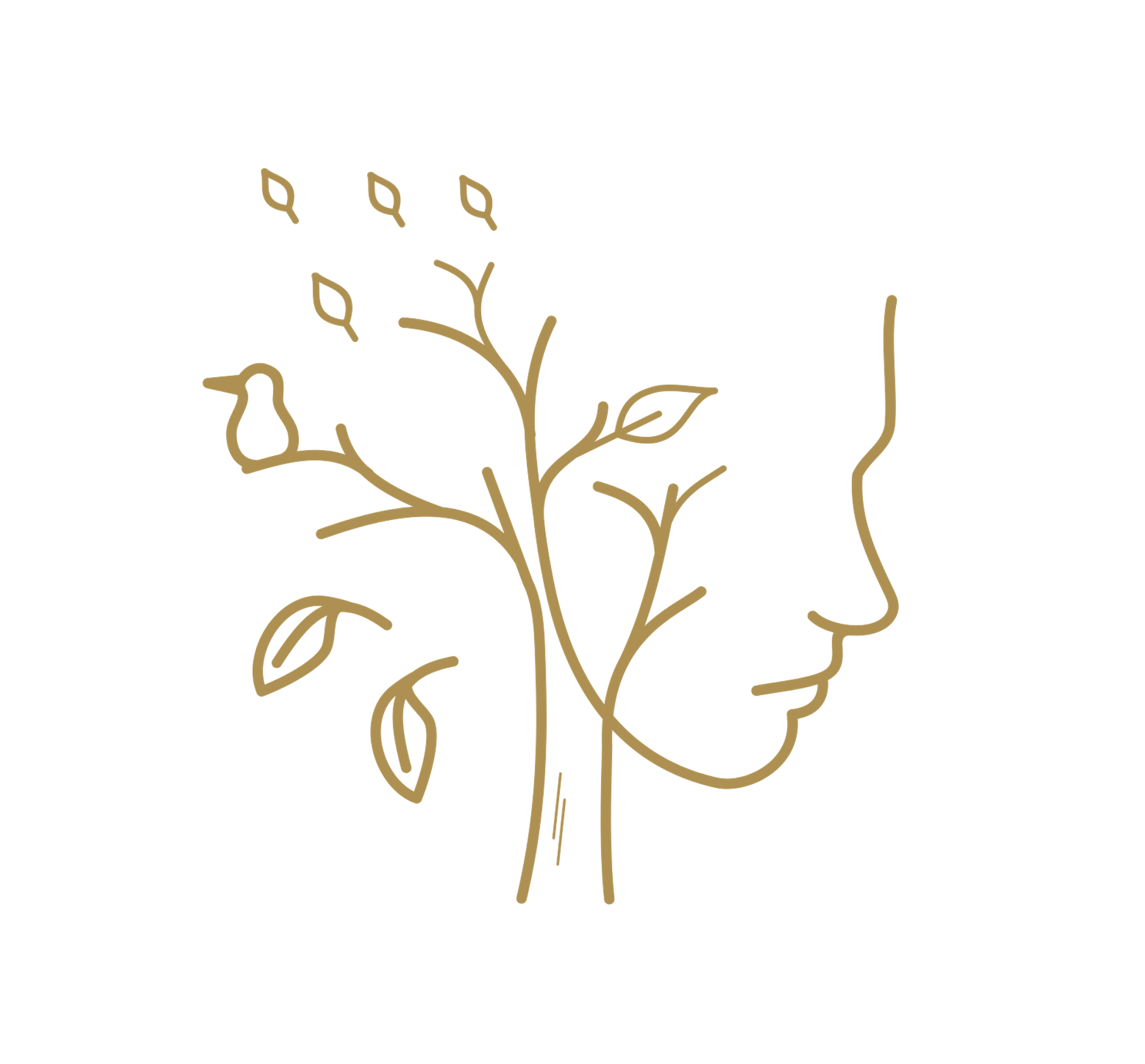 CNY Psychiatric NP Services logo